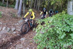 003054 DSC 8339-Copy