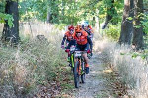 003064 DSC 4717-Copy