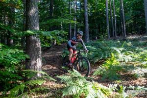 003144 DSC 8193-Copy