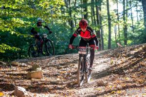 003384 DSC 4804-Copy