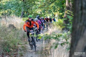 003414 DSC 4732-Copy