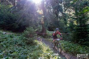 000334 DSC 7092-Copy