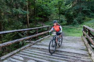 000354 DSC 7072-Copy