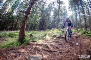 000534 DSC 3411-Copy