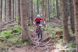 000544 DSC 3491-Copy